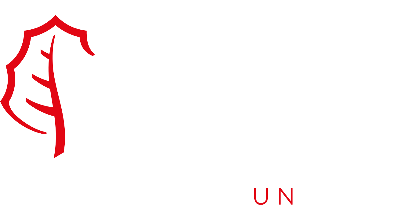 ACCIONA Logo