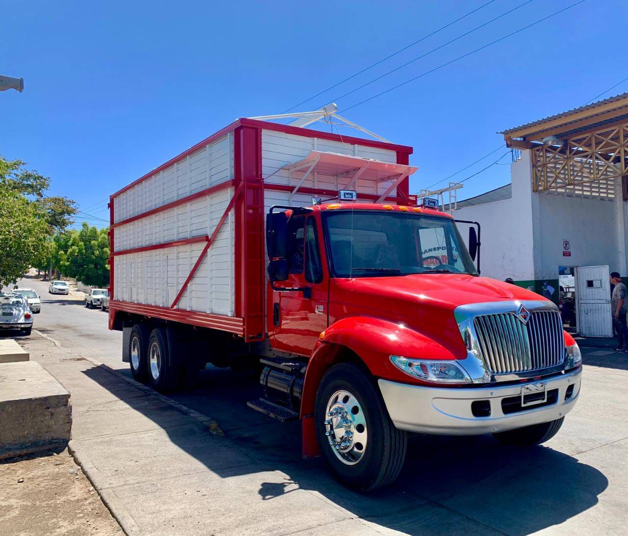 Imagen 6